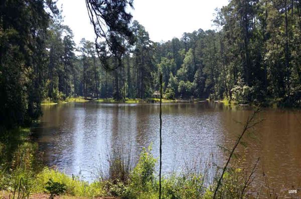 Pădurea Națională Homochitto - Camping Meadville Mississippi