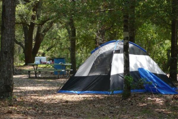 Parcul de stat Shepard - Camping Gautier din Mississippi