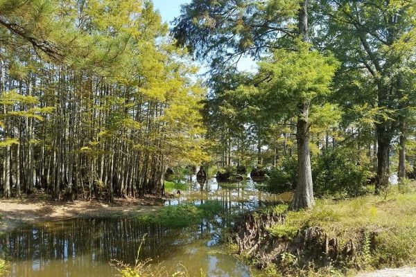 Noxubee National Wildlife Refuge - Camping Brooksville Mississippi