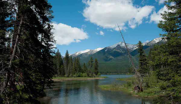 Holland Lake Camping, cele mai bune locuri pentru camping în Montana