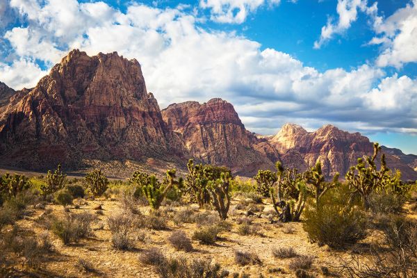 Red Rock Canyon National Conservation Area - Red Rock Campground din Nevada