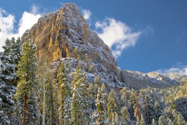 Zona de recreere națională Spring Mountains - Kyle Canyon Camping în Nevada