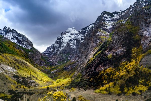 Ruby Mountains - Camping Lamoille Canyon din Nevada