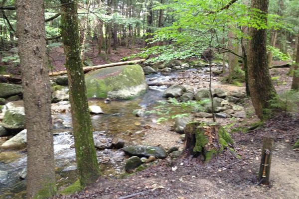 Camping Lost River Valley - Camping North Woodstock din New Hampshire