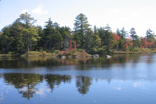 Parcul de stat Pillsbury - Washington Camping în New Hampshire