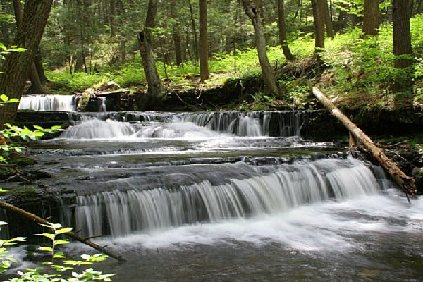 Stokes State Forest - Camping Branchville New Jersey