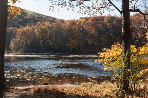 Jenny Jump State Forest - Camping Hope din New Jersey