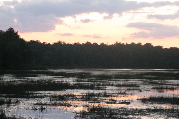 Camping Bass River State Forest - Camping Tuckerton din New Jersey