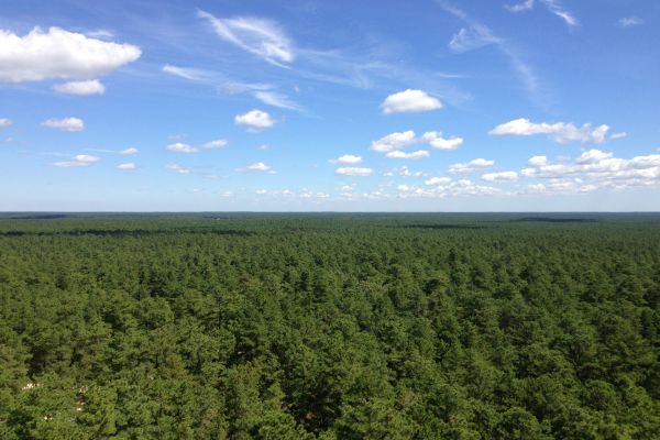 Pine Barrens - Camping Atlantic din New Jersey