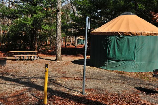 Belleplain State Forest - Camping la Belleplain Campground din New Jersey