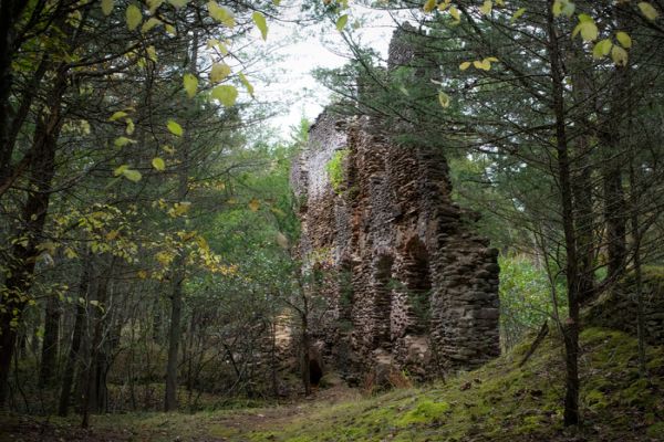 Pădurea de stat Wharton - Camping Pine Barrens din New Jersey