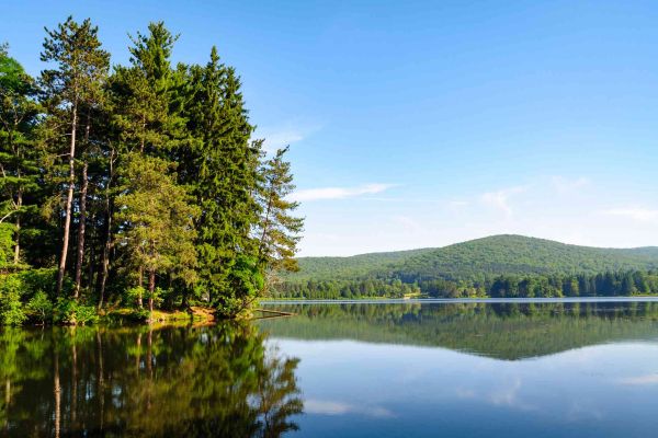 Camping Allegany State Park - Camping Salamanca din New York