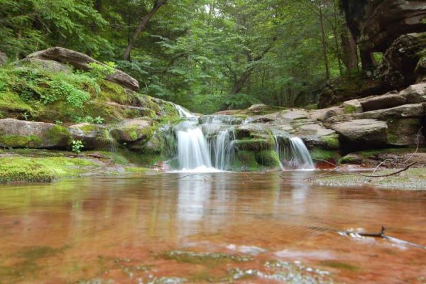 Catskill Forest Preserve - Catskill Park Campground New York