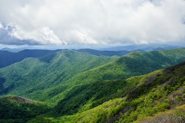 Pădurea Națională Nantahala - Camping indian în picioare în Carolina de Nord