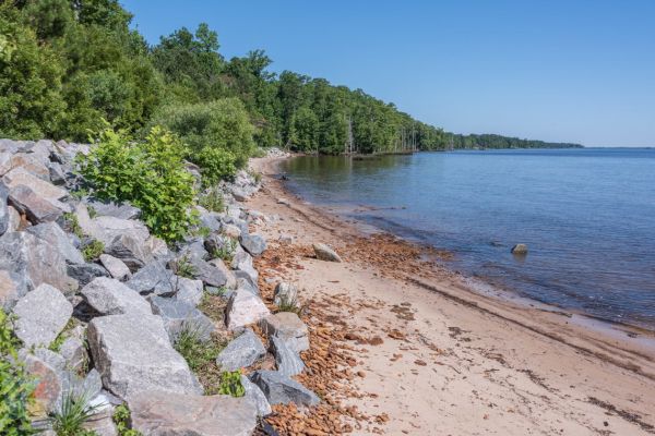 Pădurea Națională Croatan - Camping Flanners Beach din Carolina de Nord