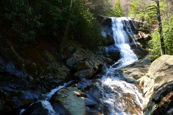 Pădurea Națională Pisgah - Camping Black Mountain din Carolina de Nord