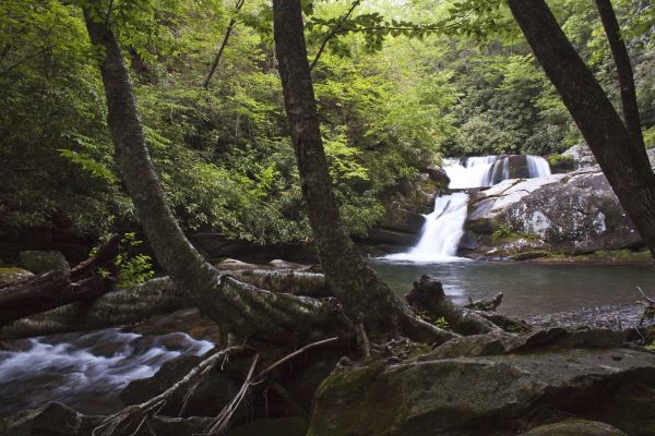 Joyce Kilmer Memorial Forest - Camping Slickrock Creek din Carolina de Nord