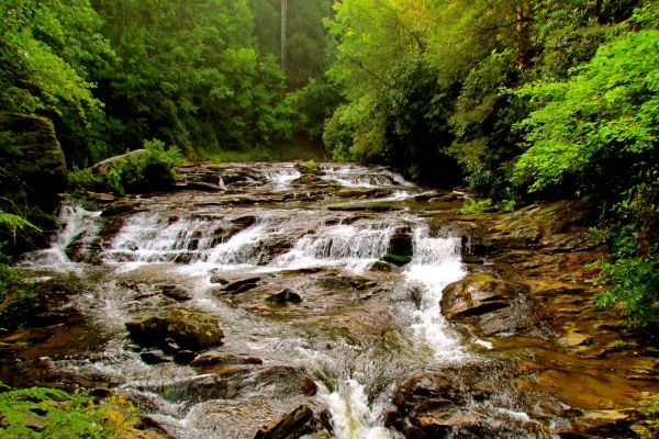 Pădurea Națională Chattahoochee - Camping Hayesville în Carolina de Nord