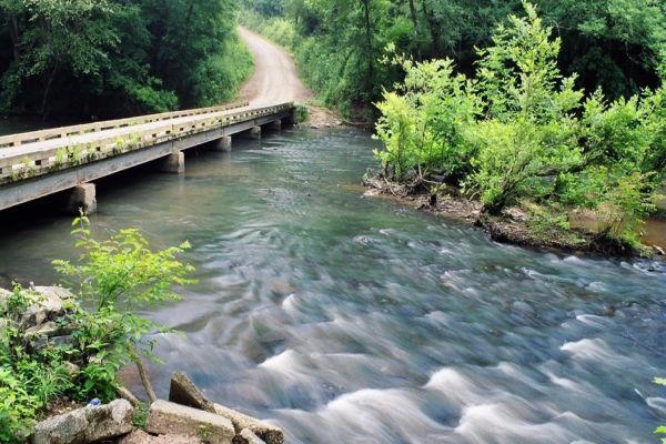 Pădurea Națională Uwharrie - Yates Place Campground din Carolina de Nord