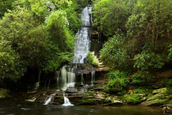 Parcul Național Great Smoky Mountains - Deep Creek Campground din Carolina de Nord