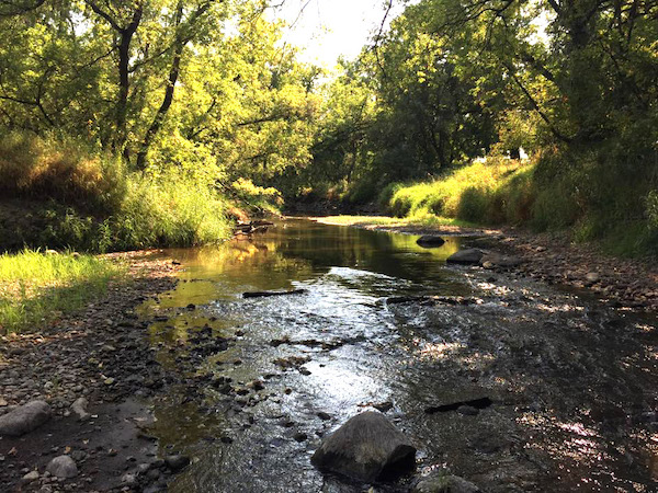 Turtle River State Park Camping Dakota de Nord