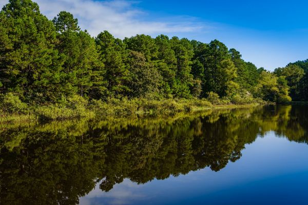 Parcul de stat McGee Creek - Camping Atoka din Oklahoma