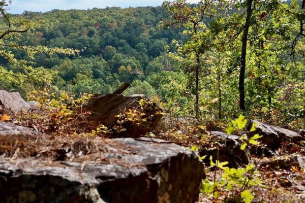 Zona de gestionare a vieții sălbatice Honobia Creek - Camping Nashoba Oklahoma