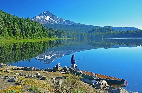 Camping Trillium Lake - Camping National Forest Mount Hood din Oregon