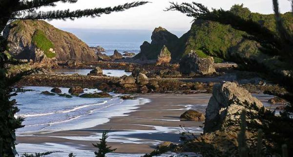 Harris Beach State Park - Camping la Harris Beach Campground din Oregon