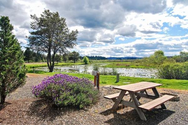 Silver Cove RV Resort - Camping Silverton Oregon