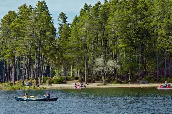 Jessie M. Honeyman Memorial State Park - Camping Horsfall din Oregon