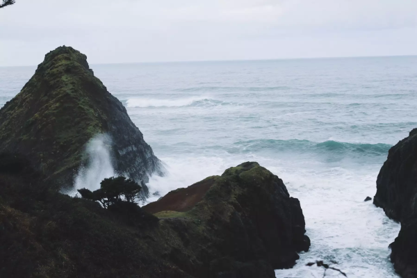 Camping Baker Beach - Camping în Pădurea Națională Umpqua din Oregon