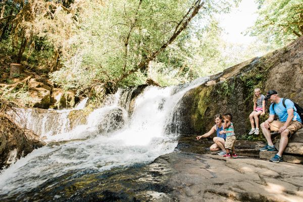 Camping Alsea Falls - Camping pentru site-ul de agrement Alsea Falls din Oregon