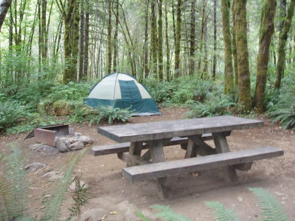 Camping Salmonberry - Tillamook State Forest Campground Oregon