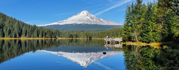 Cold Springs Campground - Camping National Forest Mount Hood din Oregon