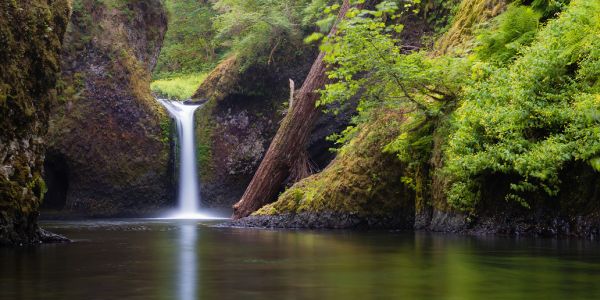 Zona pitorească națională Columbia River Gorge - Camping Eagle Creek în Oregon