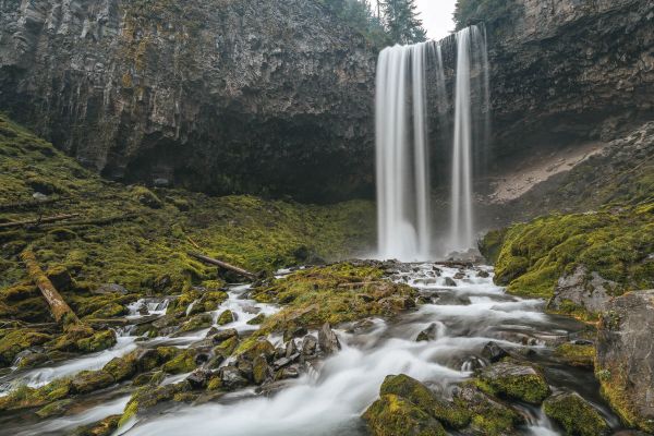 Pădurea națională Mount Hood - Tamanawas Falls Oregon Camping