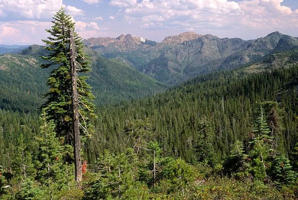 Rogue River-Siskiyou National Forest - Illinois River Camping în Oregon