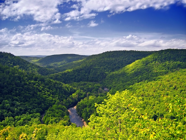 Camping în Pennsylvania, Worlds End State Park