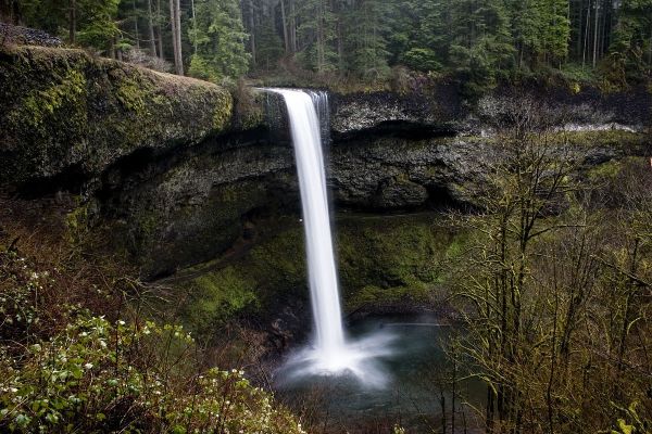 Parcul de stat Silver Falls - Camping Silver Falls în Rhode Island