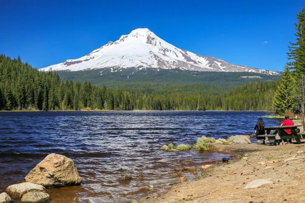 Camping Trillium Lake - Camping National Forest Mount Hood din Rhode Island