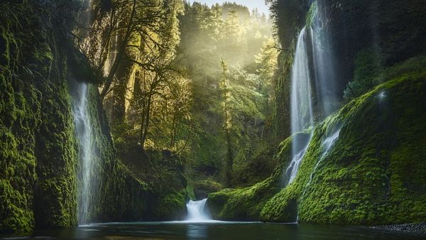 Zona pitorească națională Columbia River Gorge - Camping Eagle Creek din Rhode Island