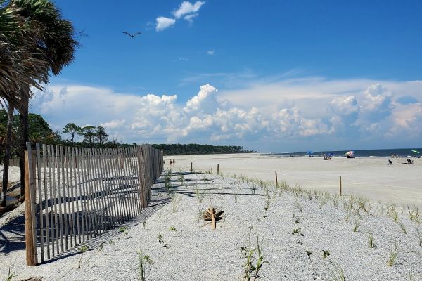 Parcul de stat Hunting Island - Camping Beaufort Carolina de Sud