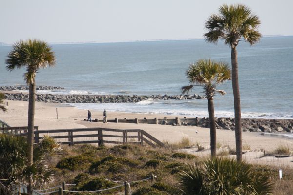 Edisto Beach State Park - Camping pe Insula Edisto Carolina de Sud