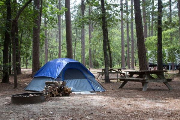 Camping Parcul de stat Sesquicentennial - Camping Columbia South Carolina