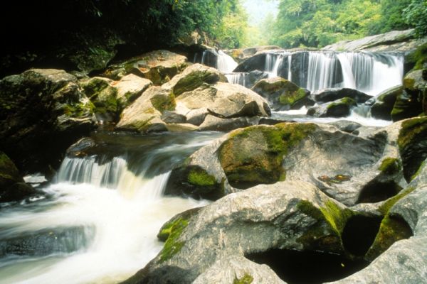 Pădurea Națională Sumter - Camping Edgefield Carolina de Sud