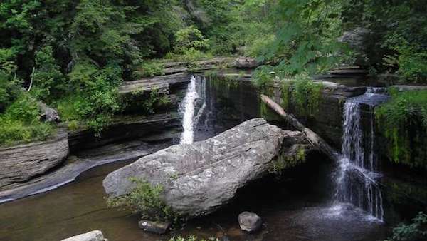 Cele mai bune campinguri din Tennessee Savage Gulf State Natural Area