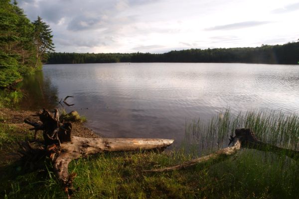 Woodford State Park - Woodford Campground din Vermont