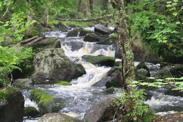 Parcul de stat Brighton - Camping Island Pond din Vermont