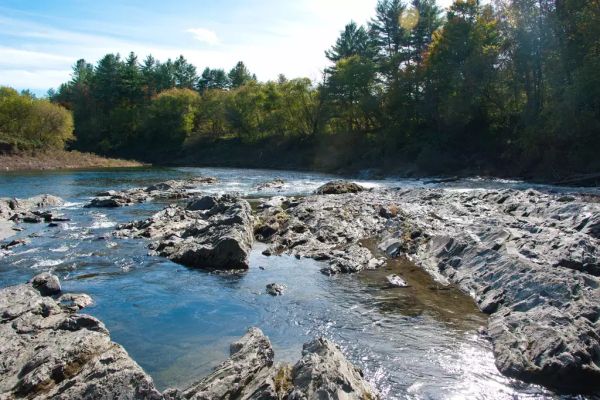 Camping Quechee State Park - Camping Quechee în Vermont